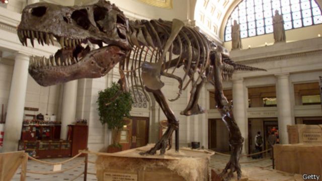 Esqueleto de T. rex Sue