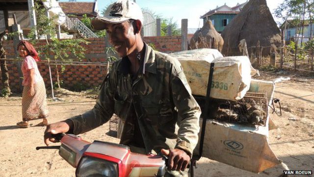 Los "cazadores" las llevan en motocicletas repletas.