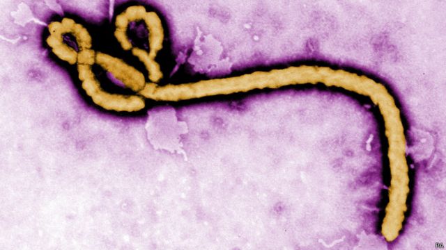 Le virus Ebola a causé plus de 2 450 victimes en Afrique de l’Ouest.