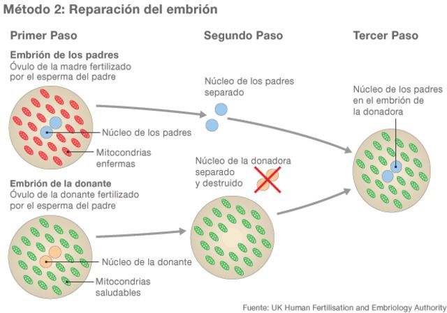 Gráfico