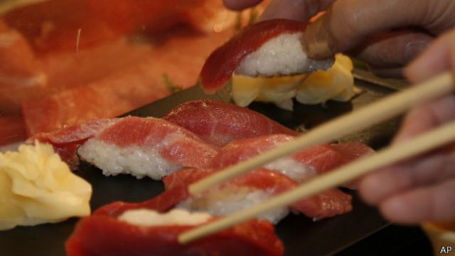 Sushi