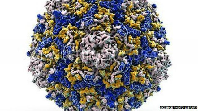 enterovirus