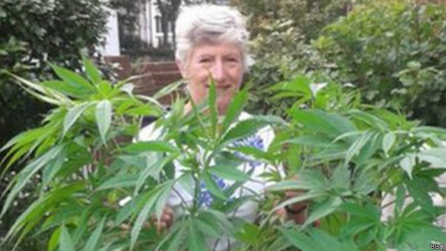 Patricia Hewitson ao lado do pé de maconha (Foto: BBC)