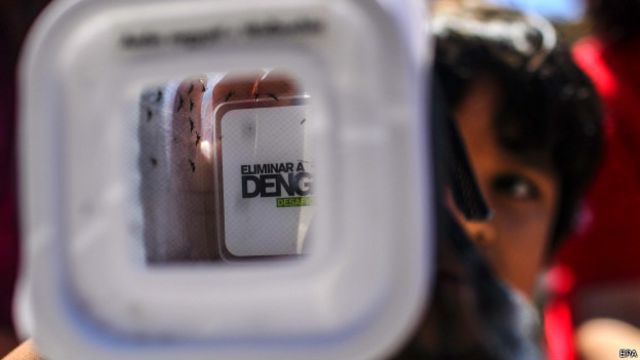 Зараженные комары