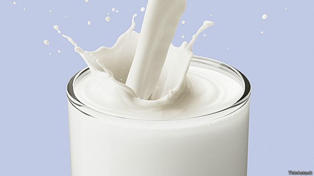 impactante síndrome Refrigerar 5 cosas que quizá no sabías de la leche - BBC News Mundo