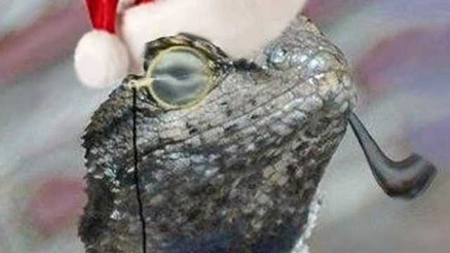 Logo de Lizard Squad