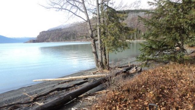 دعوة لمشاركة سكان العالم في التنقيب عن أدوية في التربة Bbc News عربي