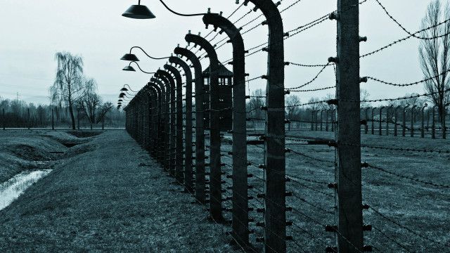 Hàng triệu người Do Thái là nạn nhân trong các trại tập trung của Hitler