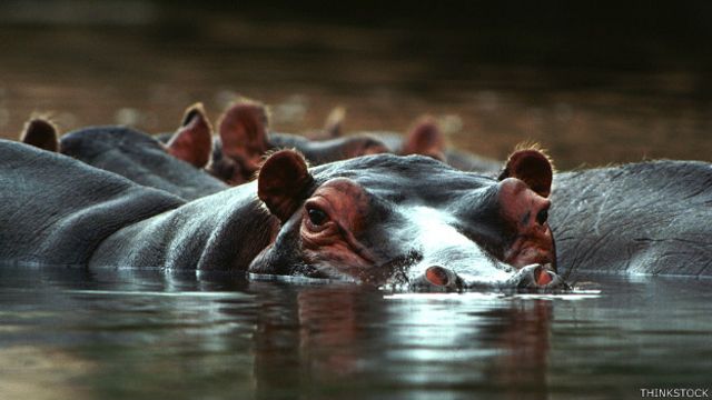 À¤ À¤¯ À¤¦à¤° À¤¯ À¤ À¤ À¤¡ À¤® À¤¸ À¤¹ À¤° À¤¹ Bbc News À¤¹ À¤¦
