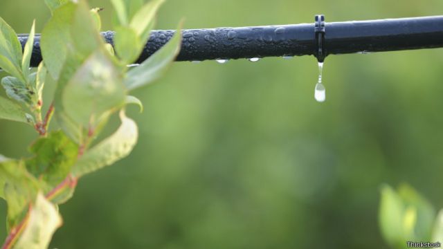 Professores criticam 'vilanização' da agricultura, mas dizem que ainda há desperdício