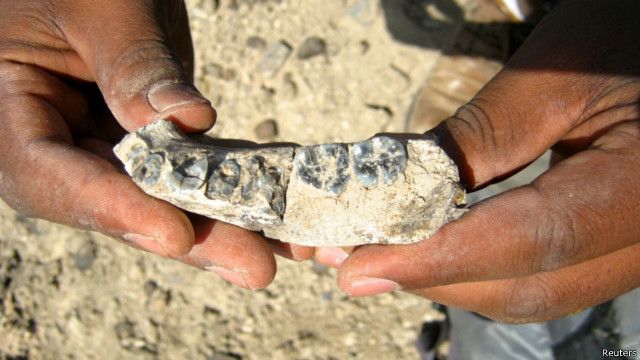 Penelitian terhadap fosil manusia purba di indonesia pertama kali dilakukan oleh