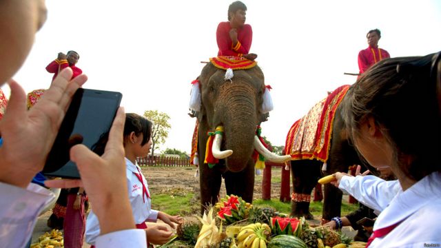Hari Gajah Nasional di Thailand - BBC News Indonesia