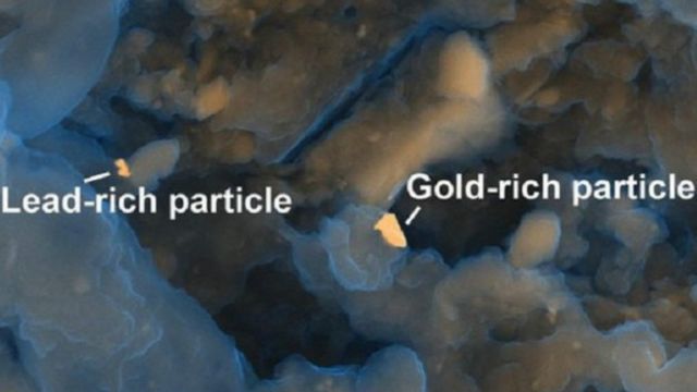 Tidak hanya emas, logam langka seperti palladium dan vanadium terdapat pada tinja manusia.