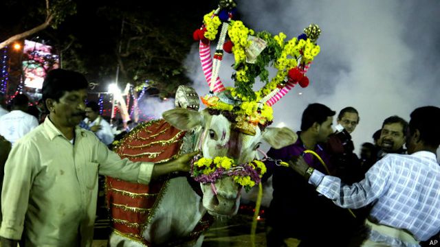 भारत, गाय