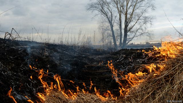 Пожары в Сибири