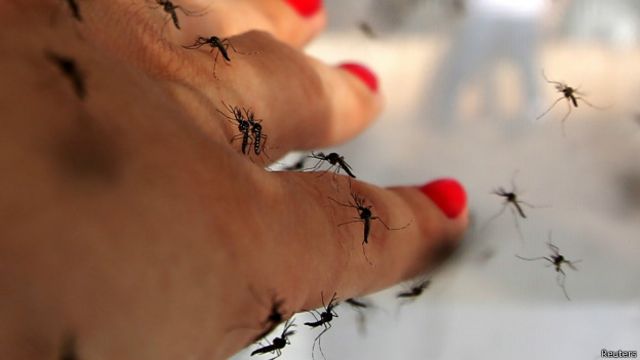 комары кусают голую девушку