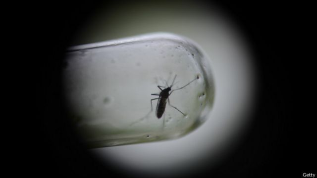 Lo Que Se Sabe De La Primera Vacuna Que Se Fabrica Contra El Dengue Bbc News Mundo 7920