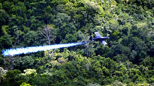 Colombia Suspende Uso Del Polemico Pesticida Glifosato Contra Cultivos De Coca c News Mundo