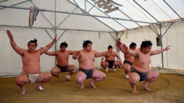 揭秘相撲手的真實生活 c 英伦网 揭秘相撲手的真實生活 c 英伦网