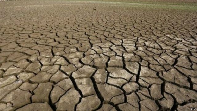 مرحلة انقراض جديدة على الأرض تهدد البشر Bbc News عربي