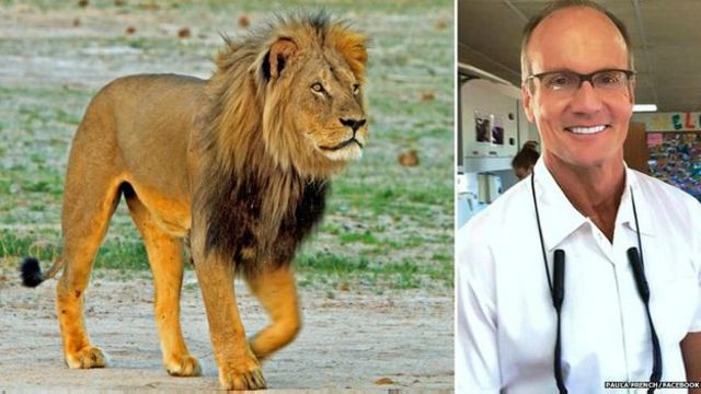 Cecil el león y los cuestionados beneficios de la caza de especies  amenazadas - BBC News Mundo