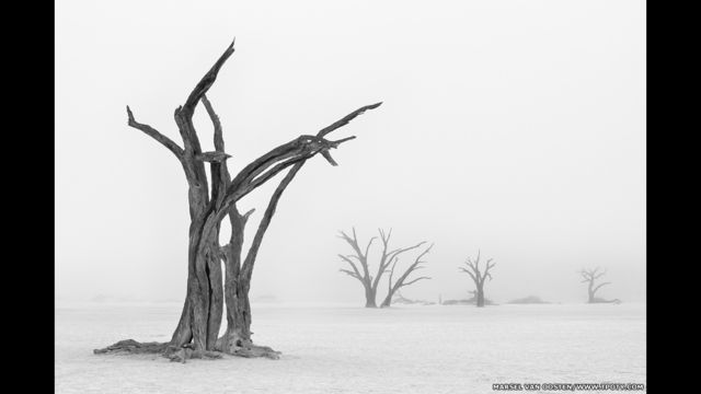 納米比亞之霧，攝影者：Marsel van Oosten