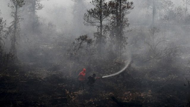 Hutan Riau Kembali Terbakar Siaga Darurat Diterapkan Bbc News Indonesia 4895