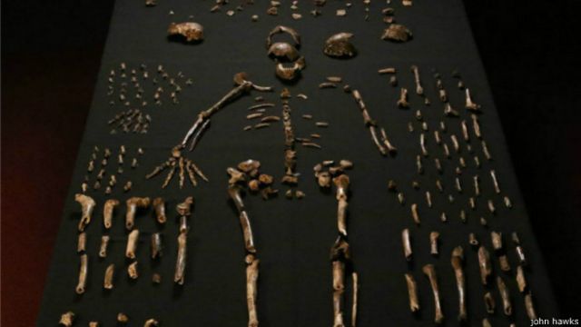 Como a vida moderna está mudando o esqueleto humano - BBC News Brasil