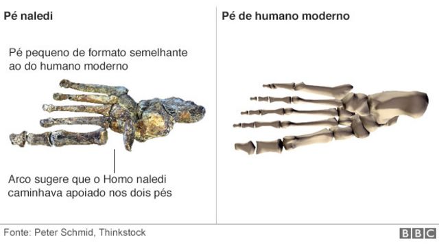 Como a vida moderna está mudando o esqueleto humano - BBC News Brasil