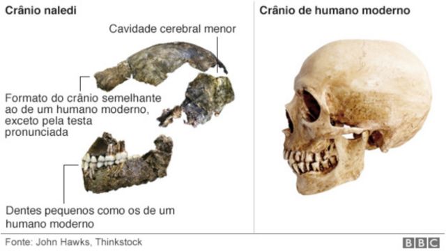 Como a vida moderna está mudando o esqueleto humano. – Blog da