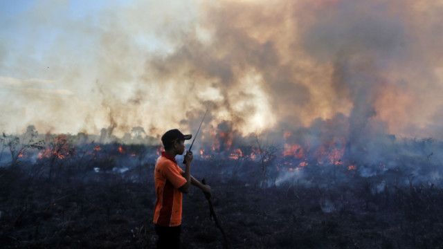 Kebakaran Hutan Dan Lahan Indonesia Bisa Samai Insiden 1997 Bbc News Indonesia