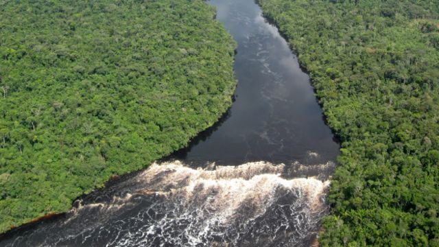 Brasil É Um Exemplo De Sucesso Na Redução Do Dematamento