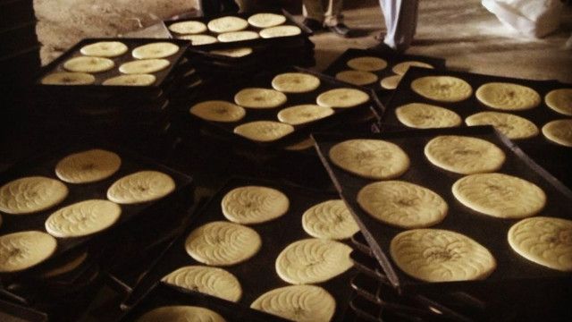 کشت سویا در ٢٢ ولایت افغانستان سویا جایگزین خشخاش می شود Bbc News فارسی