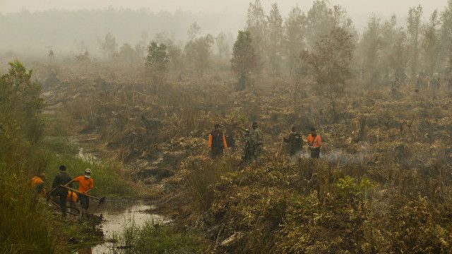Personel TNI diturunkan untuk membantu memadamkan kebakaran hutan dan lahan di Kalimantan Tengah.