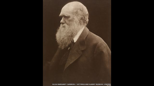 Чарльз Дарвин. Фото Джулии Маргарет Кэмерон, 1868 год. 
