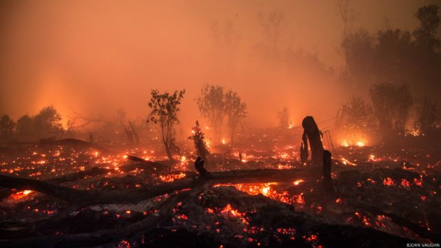 Kehancuran Kesedihan Dan Harapan Foto Foto Kabut Asap Yang Menggugah Bbc News Indonesia