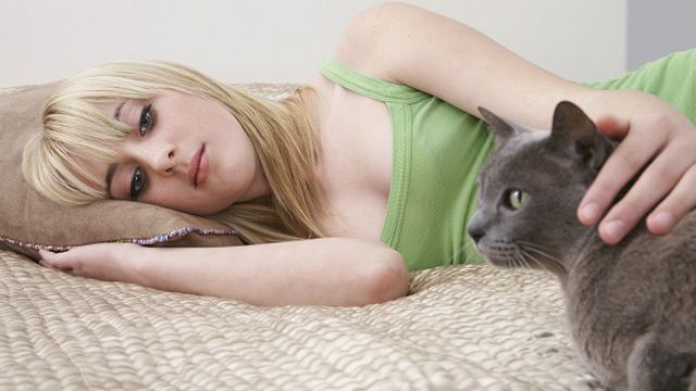 Kontak tubuh dengan manusia membuat kucing merasa nyaman karena kucing tahu perasaan kita.