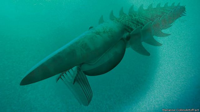 Особенности древней акулы Мегалодон