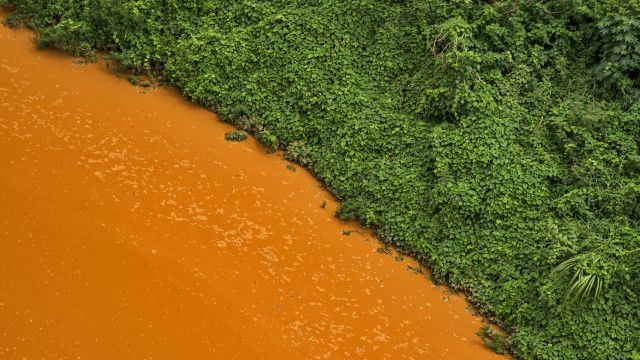 Contraste de cores entre a vegetação e a água tomada pela lama