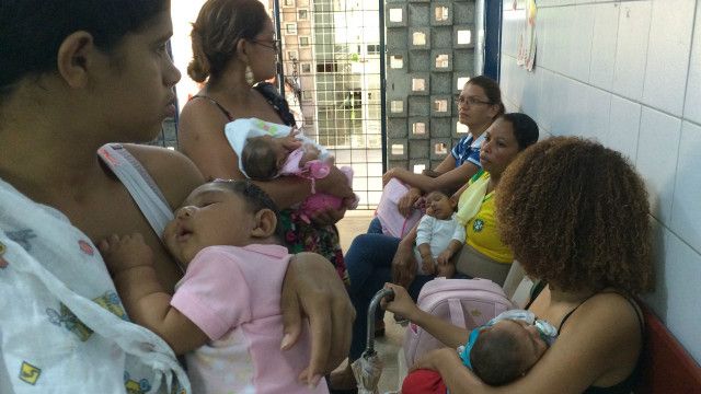 Maioria dos casos de microcefalia causada pelo zika é em Pernambuco