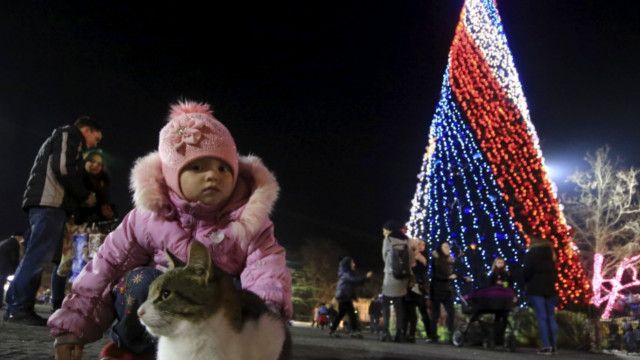 Новорічна ялинка в Севастополі