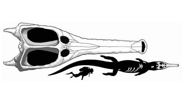 Machimosaurus  Rex