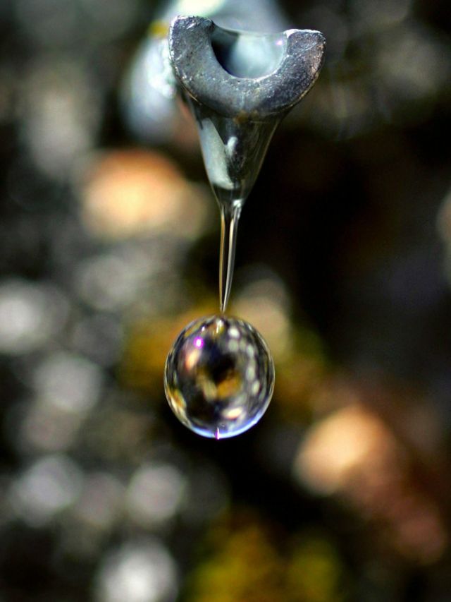 Кленовый сироп