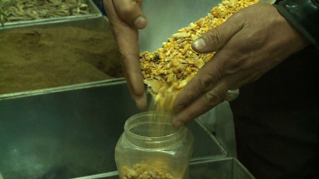 افغانستان به ارزش ۹۴ میلیون دلار گیاهان دارویی صادر کرد Bbc News فارسی