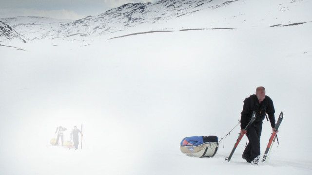 Принц Вільям