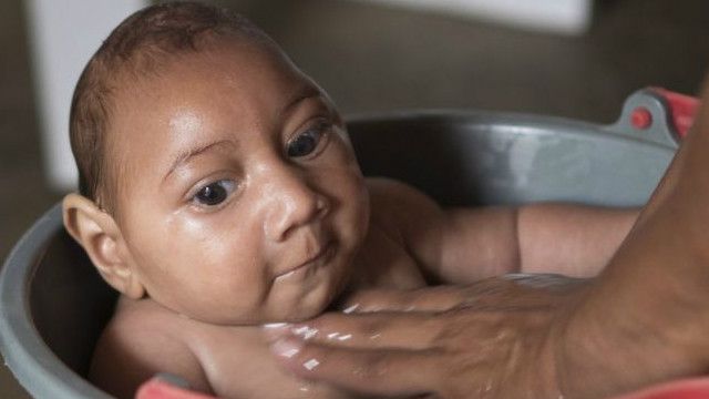 منظمة الصحة العالمية فيروس زيكا قد ينتشر عبر الأمريكتين Bbc News عربي