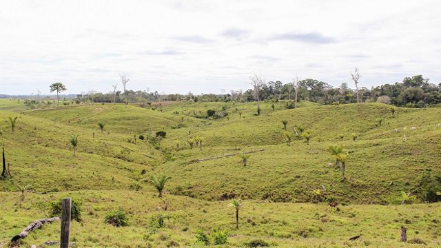 La pesadilla de Andrés Ruzo: la selva perdida.