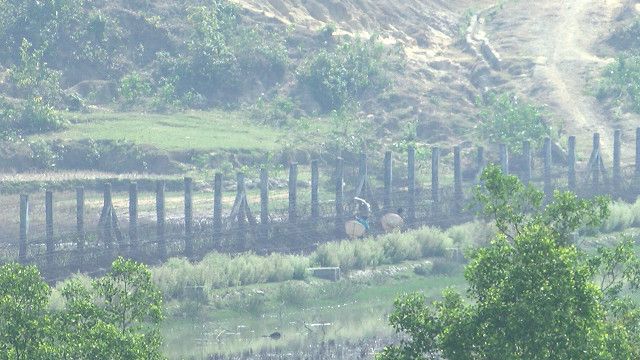 বাংলাদেশে আর থাকতে চায় না অনেক রোহিঙ্গা উদ্বাস্তু