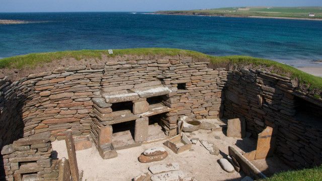 Com tecnologia própria, macacos entraram em sua 'Idade da Pedra', dizem  cientistas - BBC News Brasil