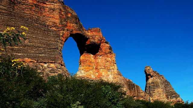 Com tecnologia própria, macacos entraram em sua 'Idade da Pedra', dizem  cientistas - BBC News Brasil